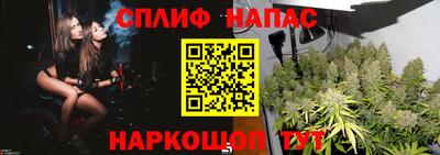 СК Кунгур