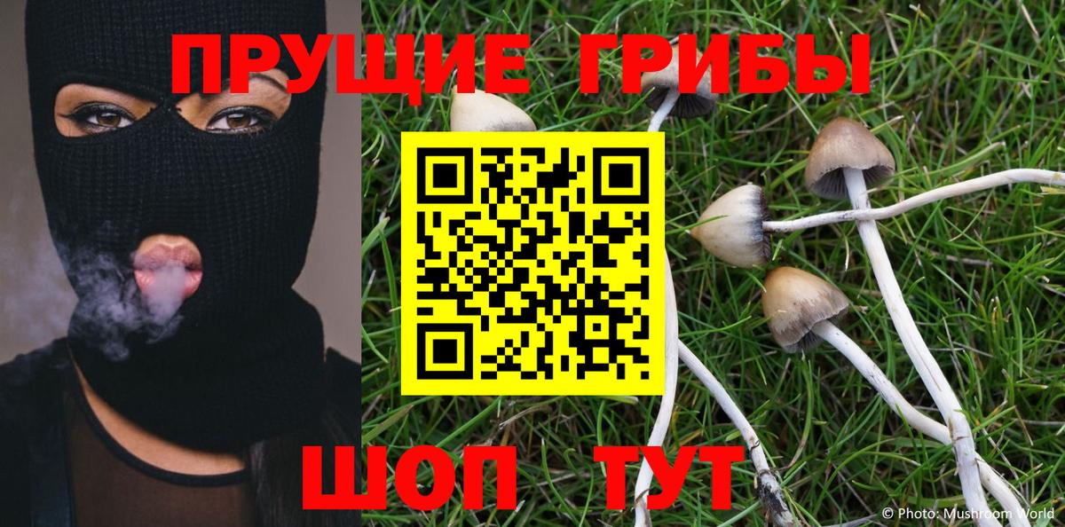 Дмитров  Псилоцибиновые грибы MAGIC MUSHROOMS  Вход с VPN  сколько стоит  Псилоцибиновые грибы Psilocybe 